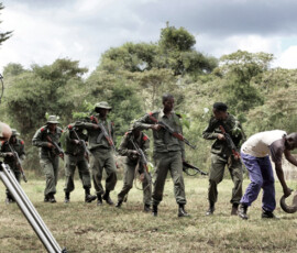 Poacher arrest techniques